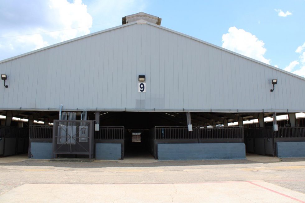 Kirk Fordice Equine Center Mississippi Fairgrounds